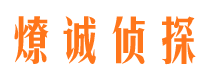 龙陵侦探公司